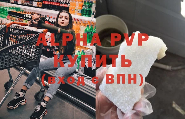 индика Заволжье