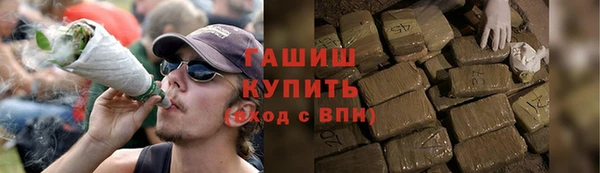 индика Заволжье