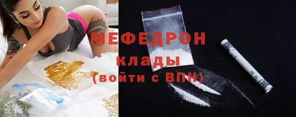 индика Заволжье