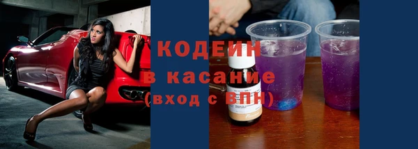 индика Заволжье