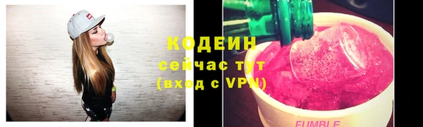 индика Заволжье