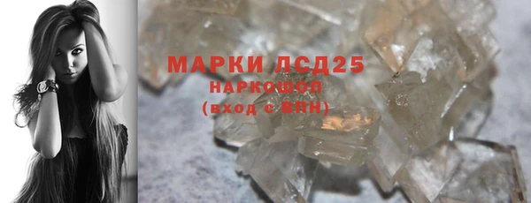 индика Заволжье