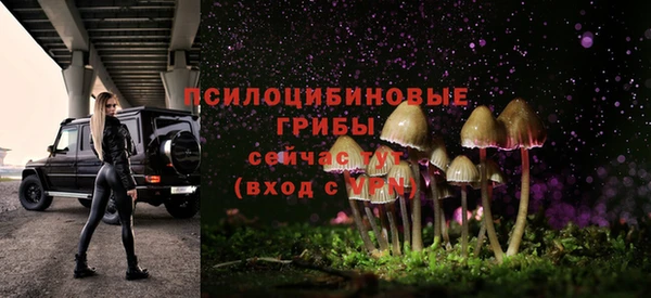герыч Заволжск