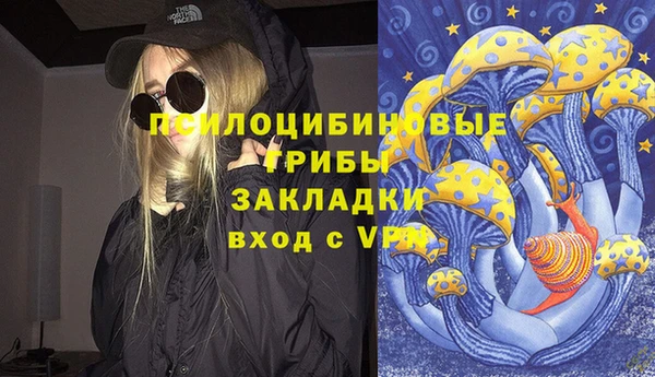 индика Заволжье