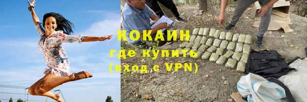 индика Заволжье