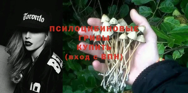 mix Заводоуковск