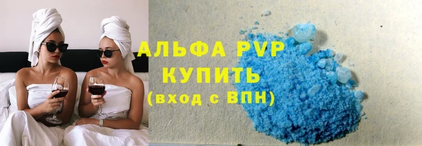 индика Заволжье